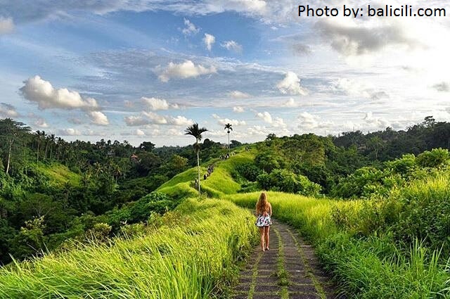 20160219-Lets-explore-greeny-hills-Campuhan-ridge-walk-Tropical-Vibes-@_sarahlatham