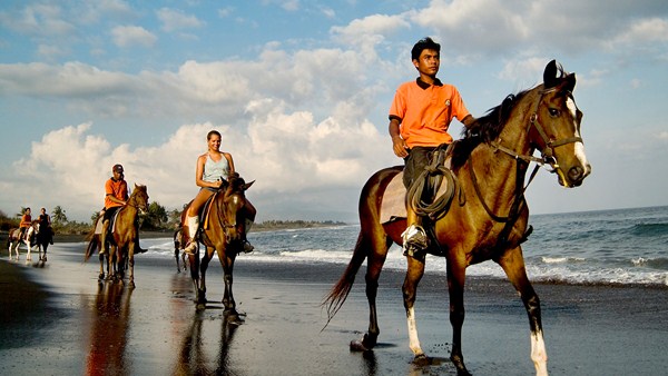 bali-horse-riding-4-balimagictour